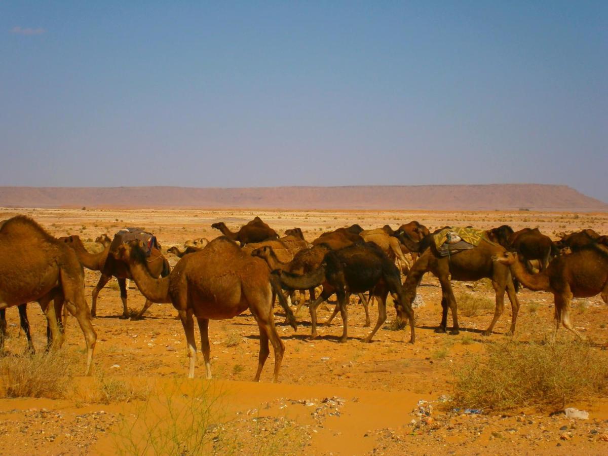 Gite Tamlli Aoufous Exteriér fotografie